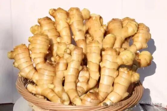 1d353604177651729dee41c0c296d9e0_08110145mh3d.jpg 1d353604177651729dee41c0c296d9e0_08110145mh3d.jpg