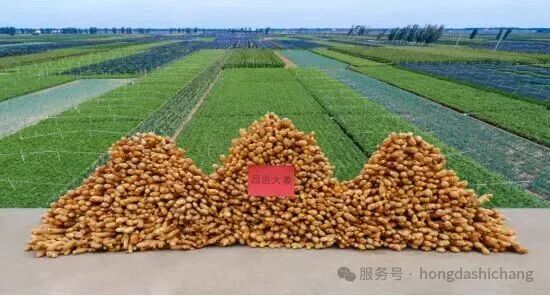 019c98e73bcb3b481ba224f562c3008e_08110253y6jn.jpg 019c98e73bcb3b481ba224f562c3008e_08110253y6jn.jpg