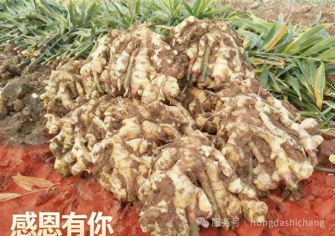 ecbe526ee3d9f8e0d13588f5801b7e8a_270933395rem.jpg ecbe526ee3d9f8e0d13588f5801b7e8a_270933395rem.jpg